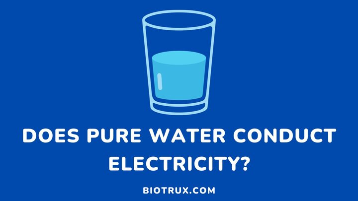 Does-pure-water-conduct-electricity-Biotrux