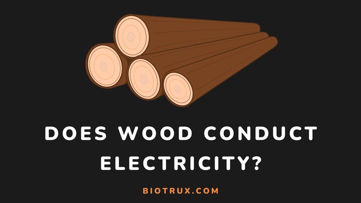 Does-wood-conduct-electricity-Biotrux