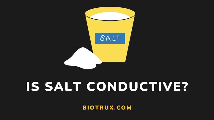 Is-salt-conductive-Biotrux