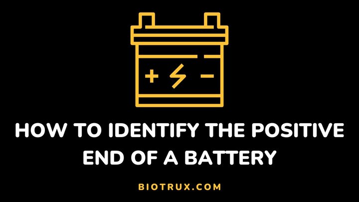 Positive-end-of-a-battery-Biotrux