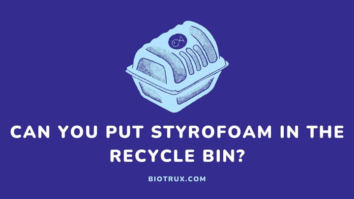 Can-you-put-styrofoam-in-the-recycle-bin-Biotrux