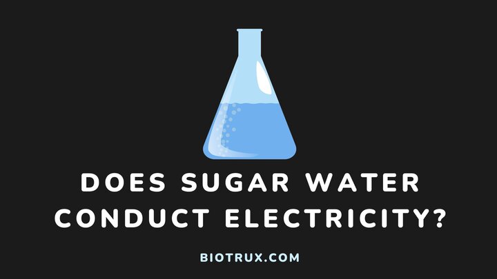 Does-sugar-water-conduct-electricity-Biotux