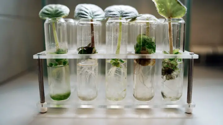 Applications-of-environmental-biotechnology-Biotrux