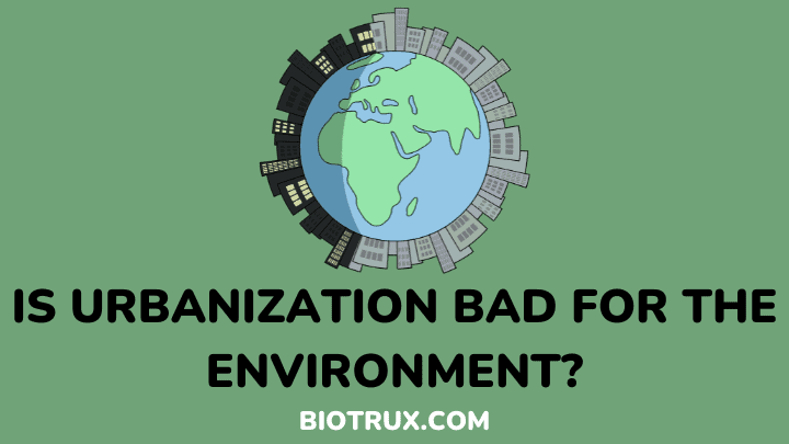 is urbanization bad for the environment - biotrux