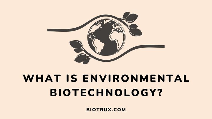 what-is-environmental-biotechnology-Biotrux