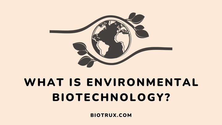 what-is-environmental-biotechnology-meaning-scopes-applications