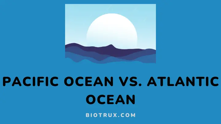 Pacific ocean Vs. Atlantic ocean - Biotrux