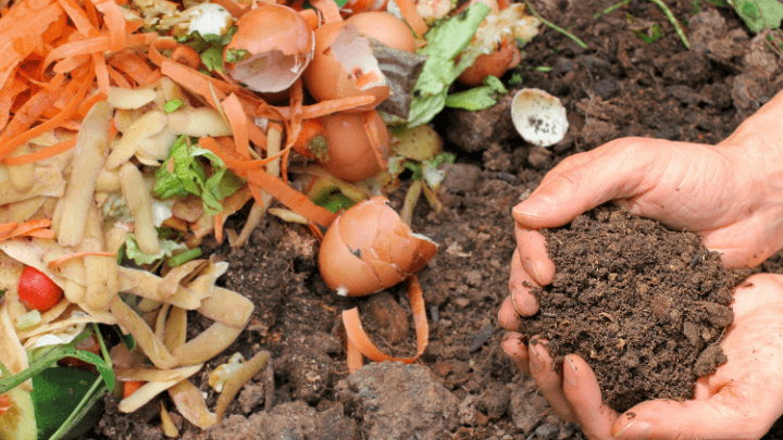 composting instead of landfills - biotrux