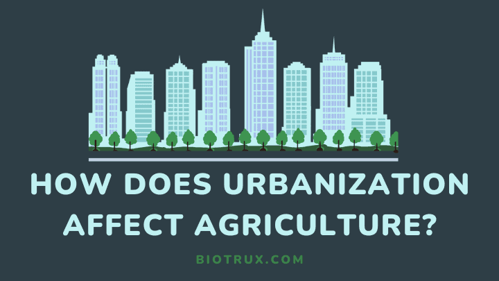 how urbanization affects agriculture - biotrux