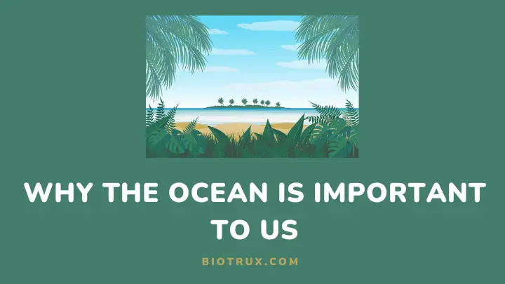 why ocean is important to us - biotrux