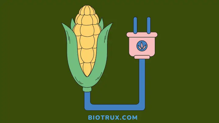 Biomass energy - biotrux