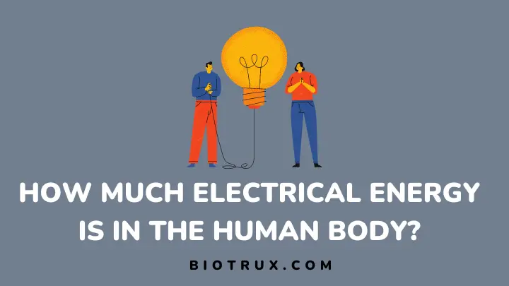 How is Electrical Energy Produced In the Human Body - biotrux