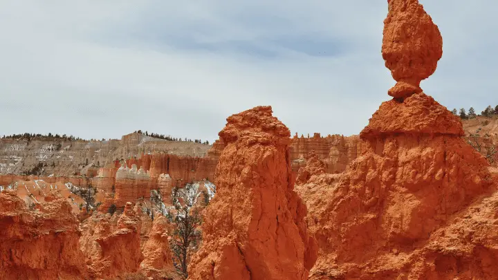 The geology of the desert - biotrux