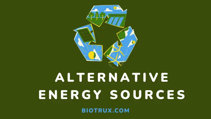 alternative energy sources - biotrux