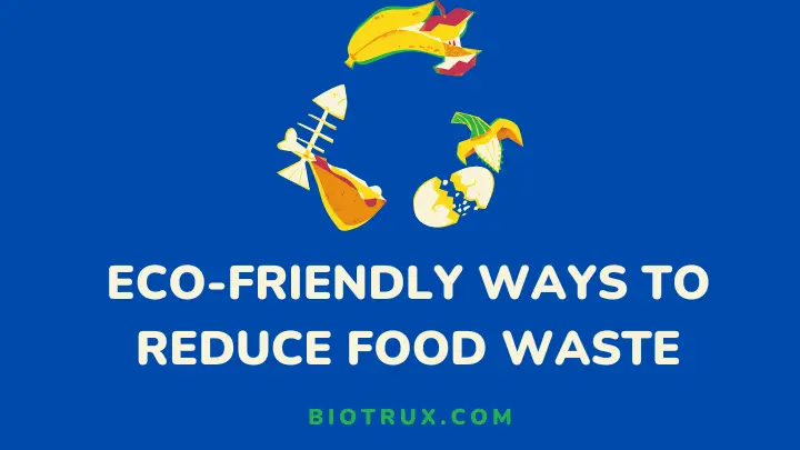 eco-friendly ways to reduce food waste - biotrux