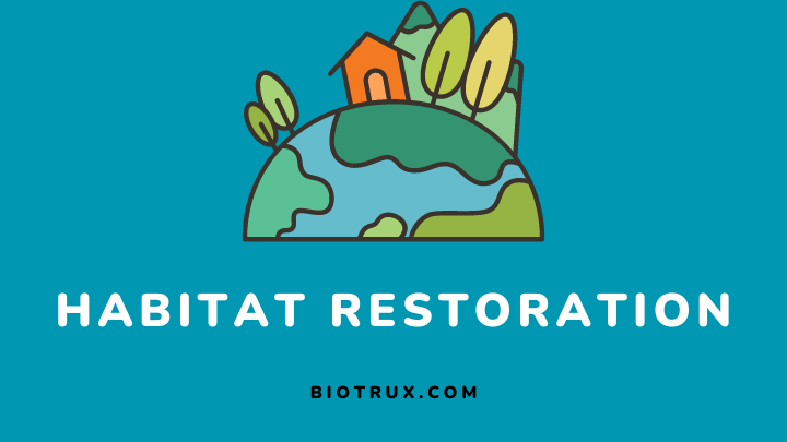 habitat restoration - biotrux