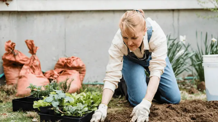 A self-sustainable garden - biotrux