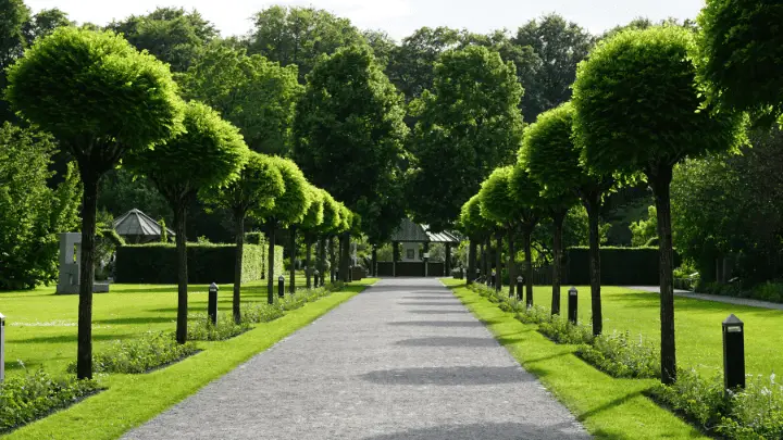  An urban green space - biotrux