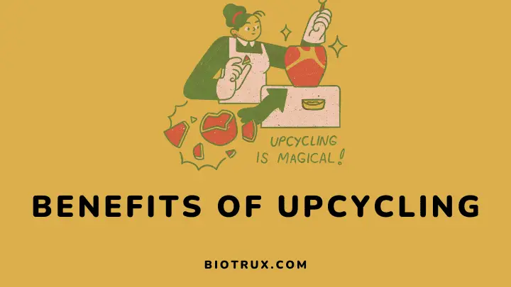 benefits of upcycling - biotrux