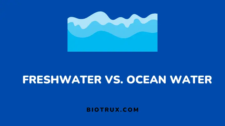 freshwater-vs-ocean-water - biotrux