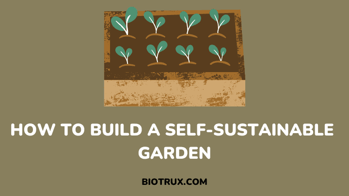 how to build a self-sustainable garden - biotrux