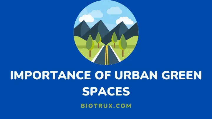 importance of urban green spaces - biotrux