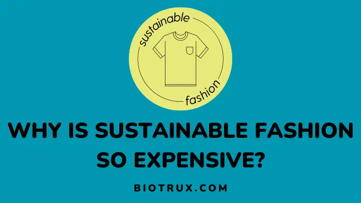 why is sustainable fashion so expensive - biotrux