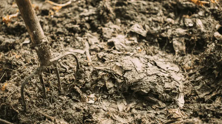 The Essentials of Compost Pile Maintenance - biotrux