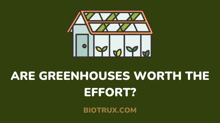 are greenhouses worth the effort - biotrux