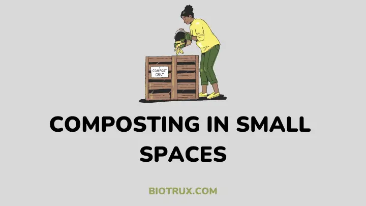 composting in small spaces - biotrux