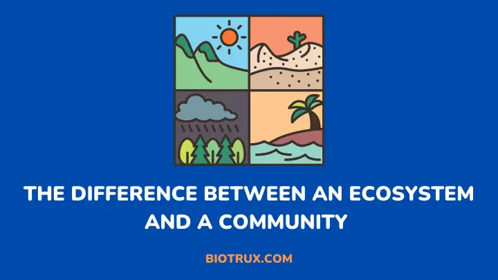 ecosystem and community difference - biotrux