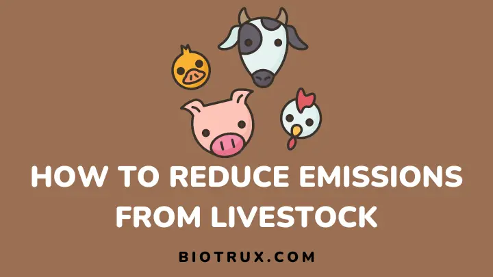 how to reduce emissions from livestock - biotrux
