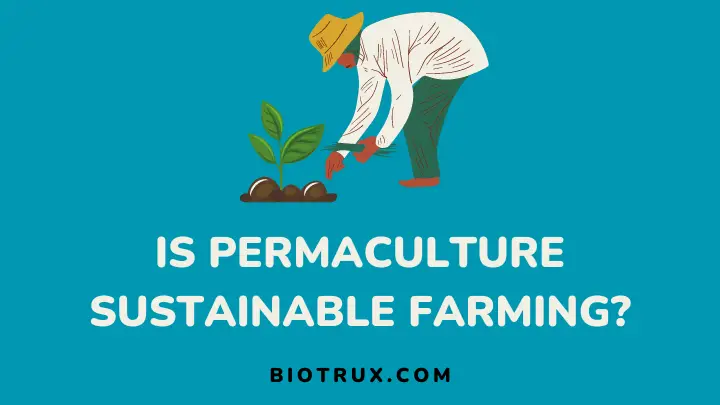 is permaculture sustainable farming - biotrux