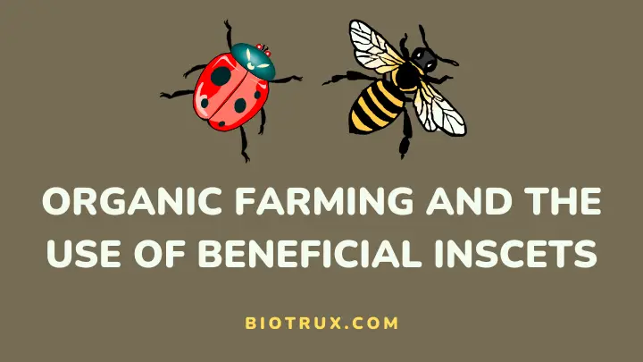 organic farming and the use of beneficial insects - biotrux
