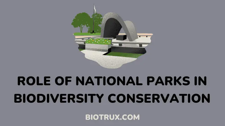 role-of-national-parks-in-biodiversity-conservation - biotrux
