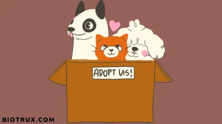 Adopt pets - biotrux