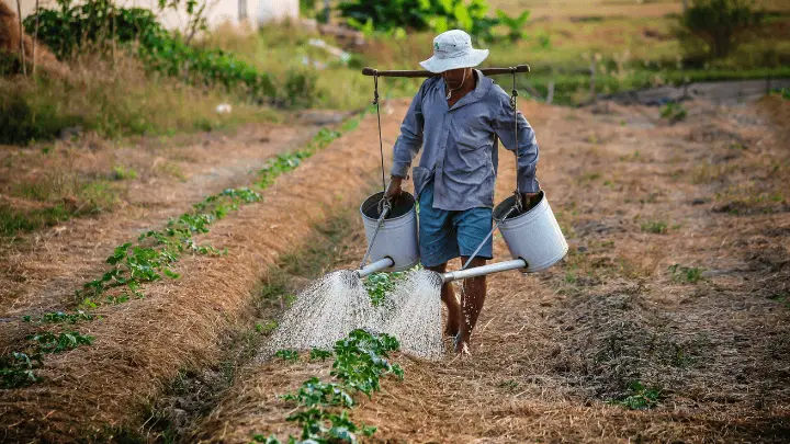 sustainable agriculture in developing countries - biotrux