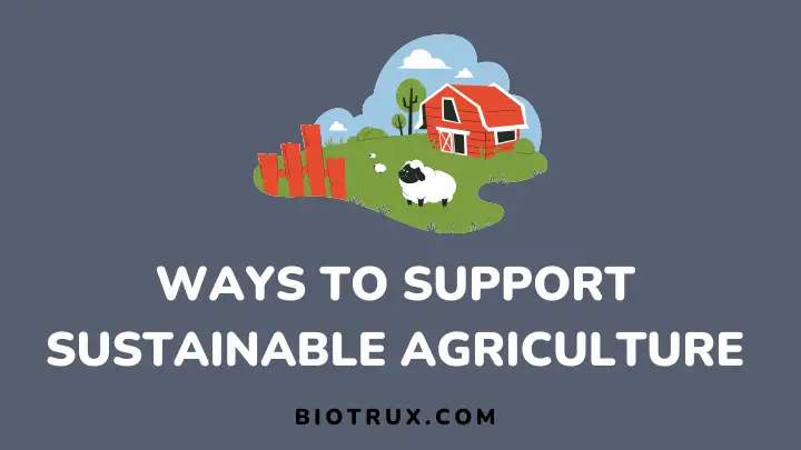 ways to support sustainable agriculture - biotrux