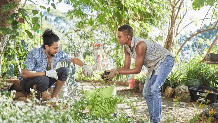 community garden initiative - biotrux 