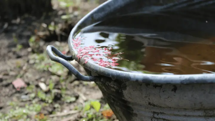 water management - biotrux.com