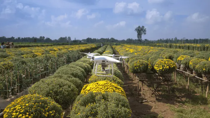 drones make agriculture more sustainable - biotrux