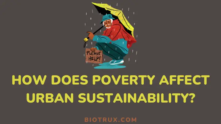how does poverty affect urban sustainability - biotrux