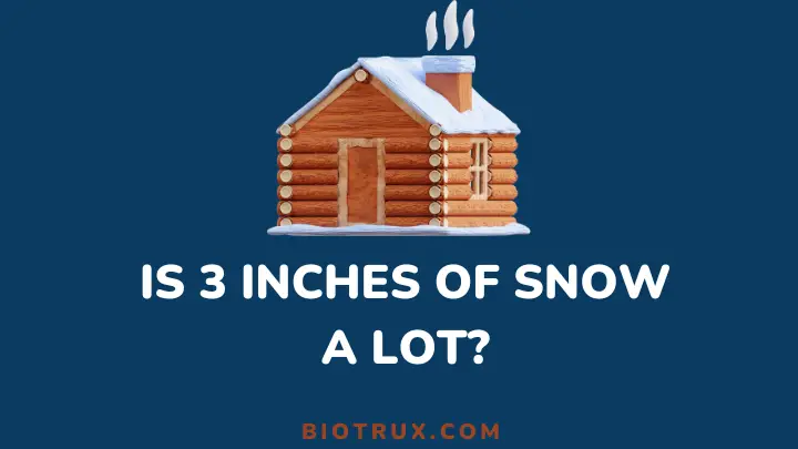 is 3 inches of snow a lot - biotrux