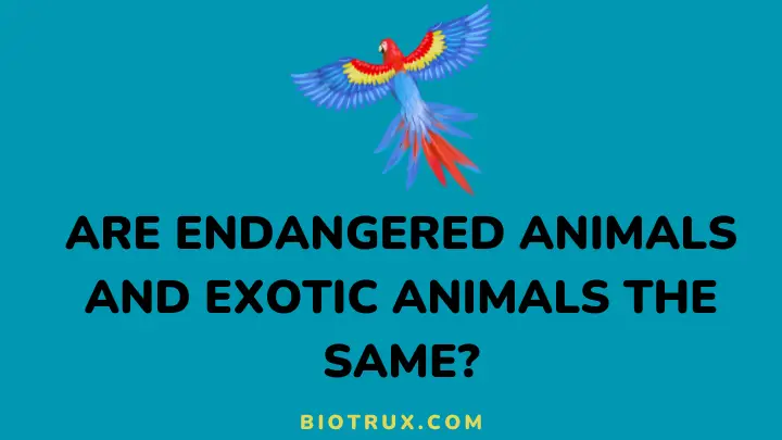 are endangered animals and exotic animals the same - biotrux