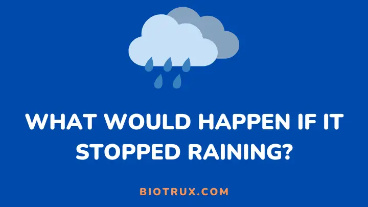 what would happen if it stopped raining - biotrux