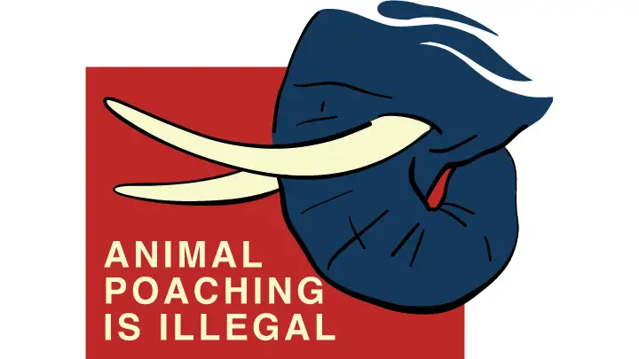 animal poaching is illegal - biotrux